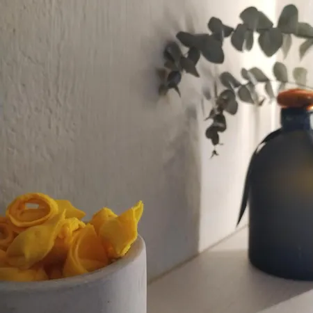 Apartment Centro Junior *